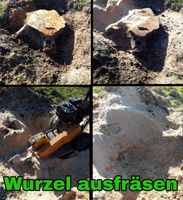 Wurzel fräsen, Baumstumpf fräsen, Baumstumpf entfernen Baden-Württemberg - Besigheim Vorschau