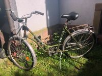 Original Kirsch Damen Fahrrad Baden-Württemberg - Freiburg im Breisgau Vorschau