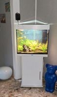 Aquarium Juwel Lido 120 Liter komplett mit Schrank + Zubehör Schleswig-Holstein - Bosau Vorschau