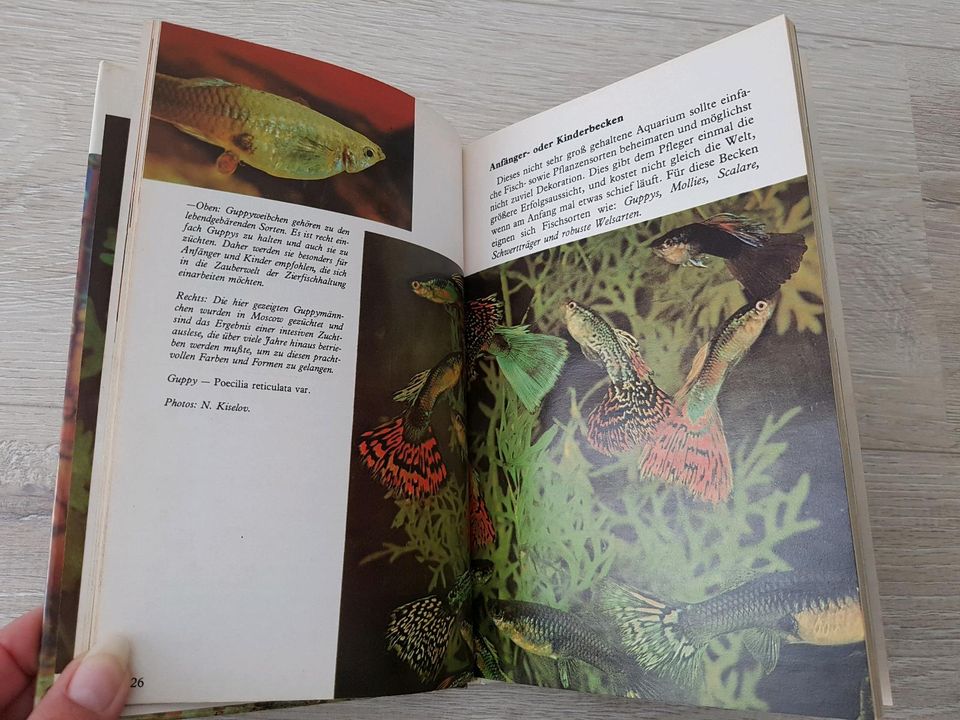 Aquariengestaltung • Buch Aquarium Einrichtung Pflege in Barsinghausen