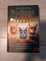 Warrior Cats "Die unerzählten Geschichten" Saarland - Illingen Vorschau