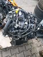 BMW F30 F31 F20 G20 Motor B48B20A komplett Dortmund - Innenstadt-Nord Vorschau