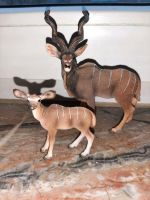 Schleich Raritäten Kudu Antilope Junges Warzenschwein Gazelle Baden-Württemberg - Gaggenau Vorschau