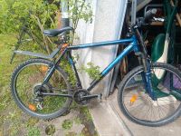 Fahrrad zu verkaufen Hessen - Niederaula Vorschau