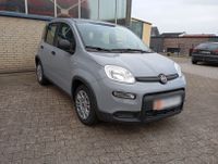 Fiat Panda 1,0 Mild -Hybrid Klima DAB Radio Niedersachsen - Zeven Vorschau