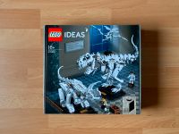 LEGO® 21320 Ideas Dinosaurier-Fossilien - NEU&OVP Baden-Württemberg - Albstadt Vorschau