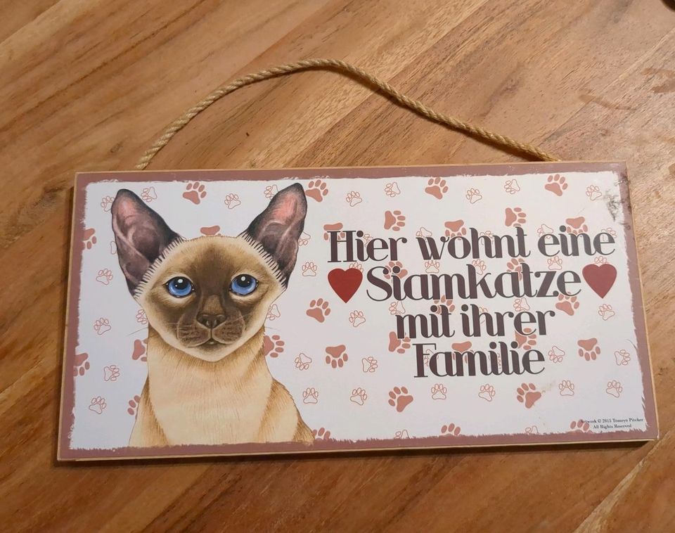 Schild zum Aufhängen Siamkatze in Berlin