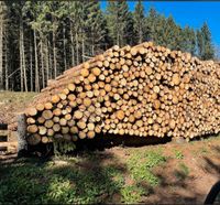 Brennholz Rundholz Stammholz Weichholz Hartholz Bayern - Marktrodach Vorschau