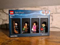 LEGO Harry Potter 5005254 Brichtober Pack Nordrhein-Westfalen - Lichtenau Vorschau