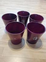 Nur noch 2x Scheurich Orchideen Übertopf Wild Berries gebraucht Bayern - Pfarrkirchen Vorschau