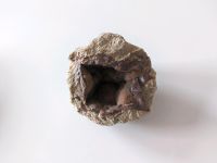 Mineralie. Sachsen - Limbach-Oberfrohna Vorschau