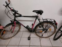 Fahrrad/Männer/Jungen/ Gangschaltung/Bike Niedersachsen - Himmelpforten Vorschau