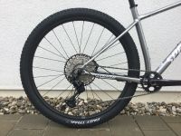 Specialized Chisel ltd FRM Custom Aufbau Shimano XT Rg L Bayern - Otterfing Vorschau