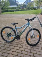 KTM Penny Lane 27,5 Zoll Baden-Württemberg - Öhringen Vorschau