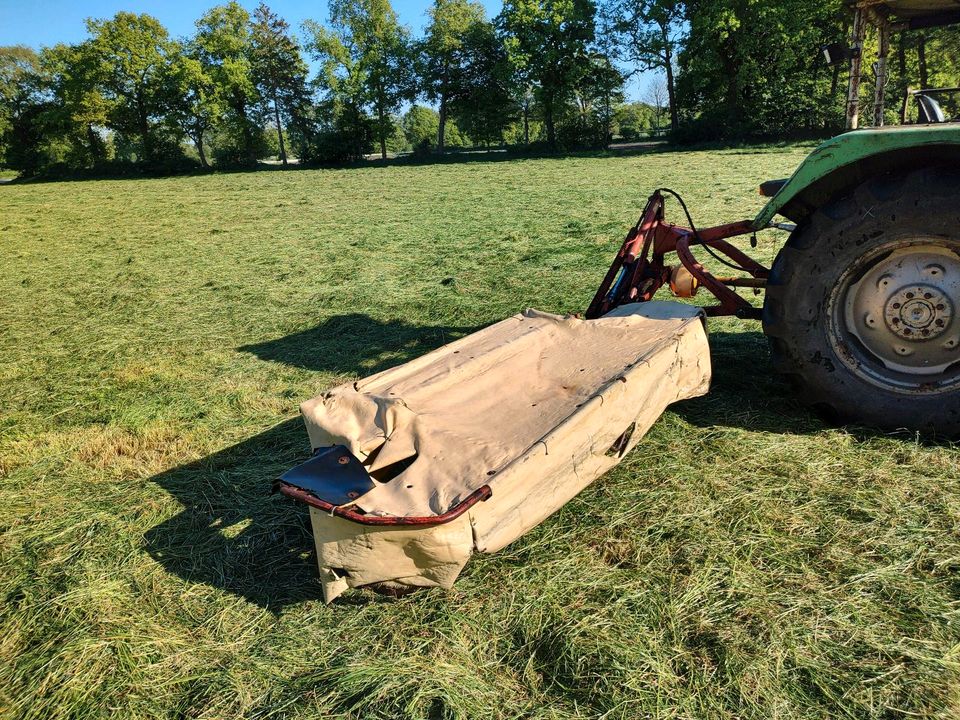 Scheibenmähwerk Krone AM 242 Mähwerk in Filsum