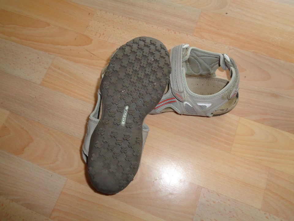 Geox Sandalen Gr.39  Damen in Nittenau