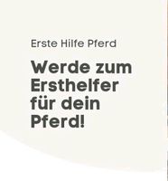 1. Hilfe am Pferd - 27.07.2024 Niedersachsen - Wildeshausen Vorschau