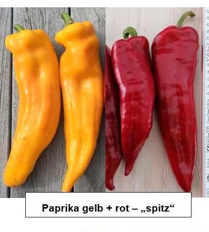 Spitz Paprika rot + gelb Pflanzen in Pfarrkirchen