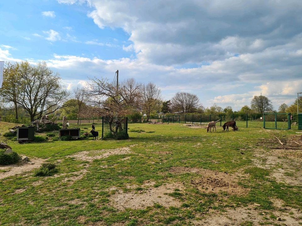 Dauerstellplatz Campingplatz Klaukenhof Datteln in Dortmund