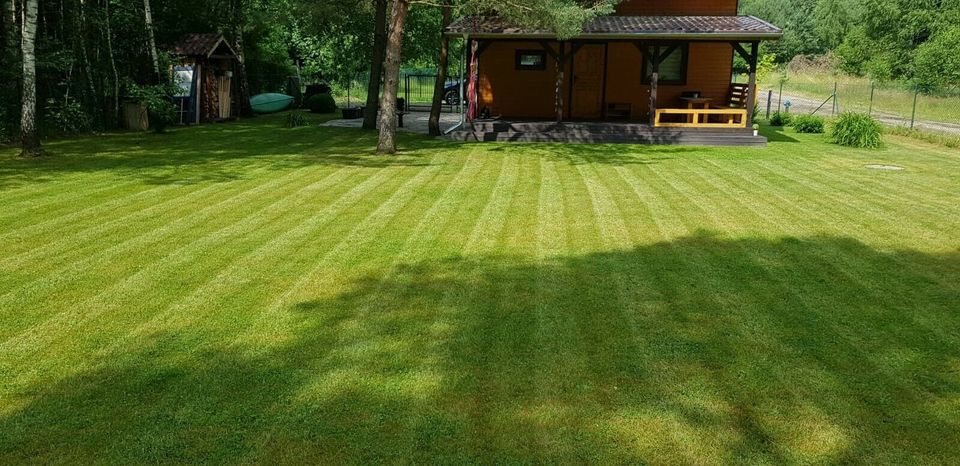 Gartenarbeit Gartenpflege Baumfällung Baumpflege in Hannover