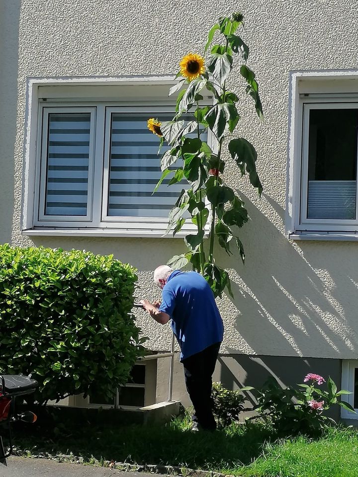 Vereinsfreier Kleingarten gesucht in Wuppertal