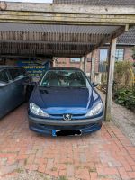 Peugeot 206 an Bastler Schleswig-Holstein - Bad Oldesloe Vorschau