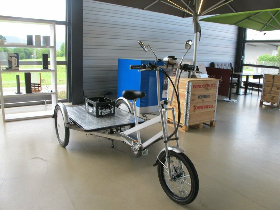 Lastenrad Lieferfahrrad Transportrad E-Cargobike mit Plattform in Göppingen