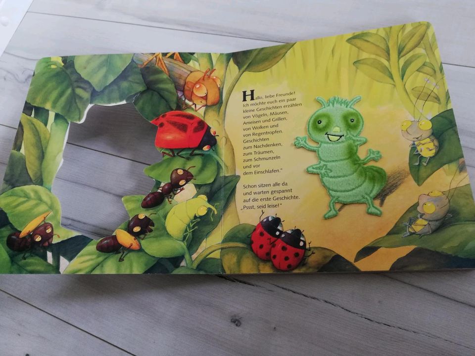 Meine ersten Valentin Geschichten Kinderbuch Raupe in Plochingen