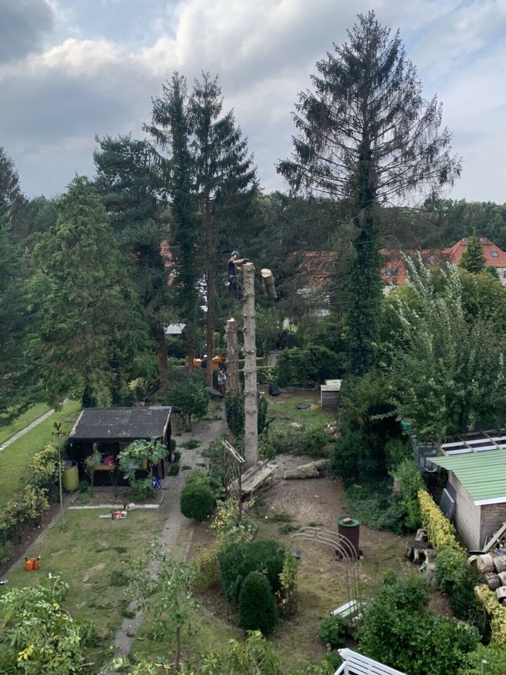 ⚠️Baumpflege,Hubsteiger,Seilklettertechnik⚠️Baumfällung❌, Bagger Sturmschaden Baumschnitt Brennholz vertikutieren in Ellerau 