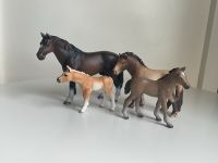 Schleich-Pferde Hessen - Kefenrod Vorschau