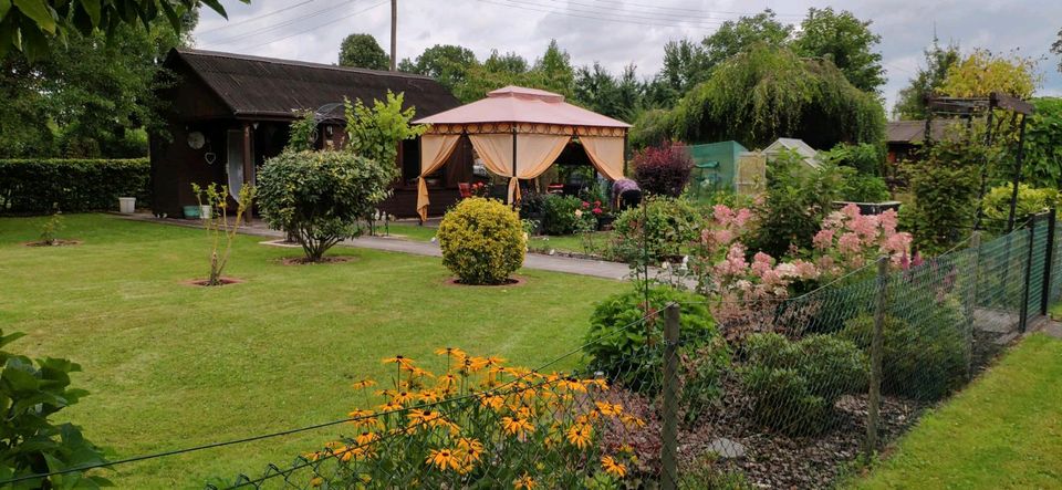 Top gepflegter Garten/Pachtparzelle beim Tabak Quartier Bremen in Bremen