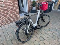 E-Bike Damen Kalkhoff Pro Connect Nordrhein-Westfalen - Everswinkel Vorschau