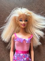 Barbie mit Schuhen, Kleider und Hund Leipzig - Burghausen-Rückmarsdorf Vorschau