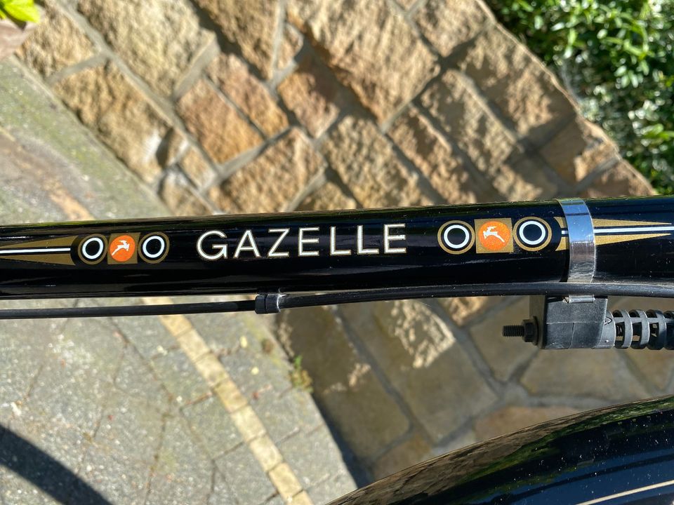 Gazelle Tour Populair Herrenrad Hollandrad in Hörstel