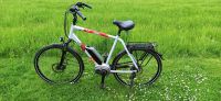 Herren E-Bike der Firma LIQBIKE aus dem Schwarzwald Rheinland-Pfalz - Hamm (Sieg) Vorschau