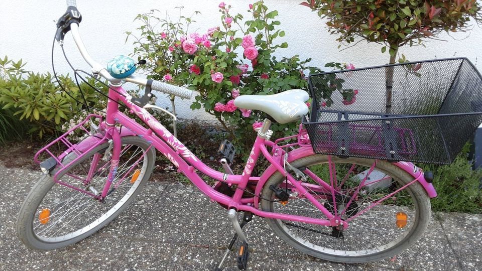Tecnobike Giulia 26" Mädchen Fahrrad rosa 6 Gang Rad in Schwalbach a. Taunus