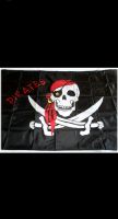 Piraten Flagge Fahne Skull Totenkopf Pirates 90 x 150 cm Flagge Sonnenstein (Eichsfeld) - Zwinge Vorschau