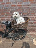 Trixie Fahrradkorb Hund Katze Gebraucht Niedersachsen - Neuenkirchen-Vörden Vorschau