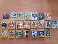 Panini Fussball 2003 / 2004, 03 04 Sticker Dresden - Blasewitz Vorschau