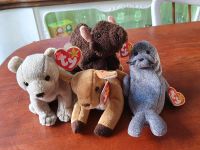 Beanie Babies original Schild Teddy Bär Robbe Reh Büffel Hessen - Niedernhausen Vorschau