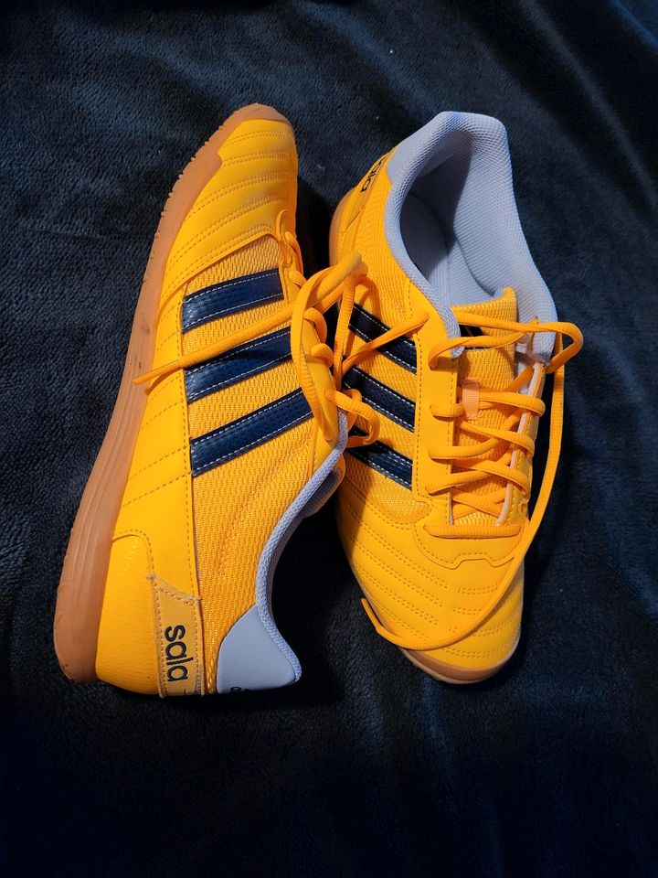 Adidas Super Sala gold in Nörtershausen