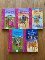 Zauberponys Bücher-Set Kr. München - Baierbrunn Vorschau