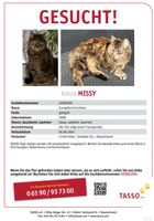 Unsere Katze Missy Niedersachsen - Tostedt Vorschau