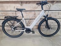 Kalkhoff Image 3.B Advance Wave 2023 (Rücktrittbremse) ** 75Nm / 500Wh **E-Bike Schleswig-Holstein - Grauel Vorschau