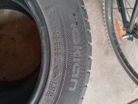 2 Sommerreifen Nokian Gebraucht 215/60R16. 99VXL Baden-Württemberg - Bad Mergentheim Vorschau