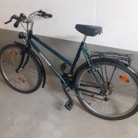 Fahrrad 26 Zoll Bonn - Duisdorf Vorschau