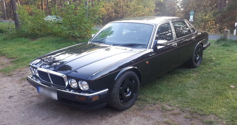                     JAGUAR XJ81/XJ12 - Dachhimmel neu