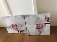 ♥ Leinwandbild ♥ Bild Keilrahmen SET Orchidee Leinwand Nordrhein-Westfalen - Oelde Vorschau