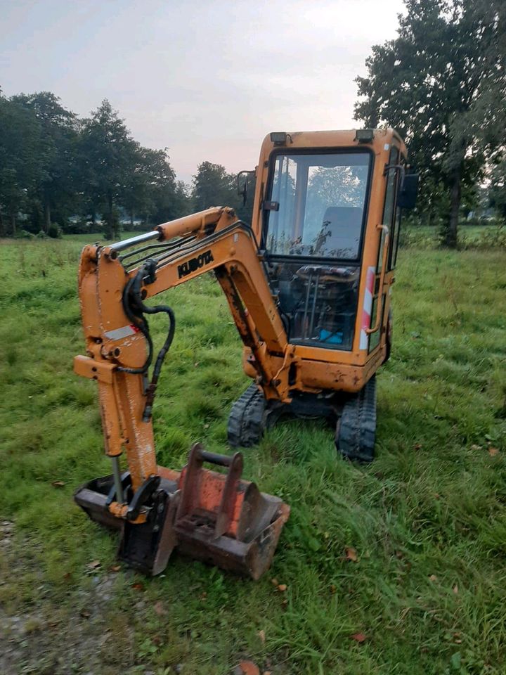 Minibagger Baggerarbeiten Büsche Hecke entfernen Gartenarbeiten in Jever