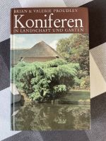 Koniferen in Landschaft und Garten Proudley Rheinland-Pfalz - Keidelheim Vorschau